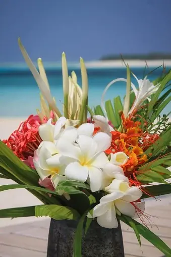 Flower Arrangements